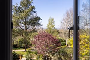 Photo 17- click for photo gallery